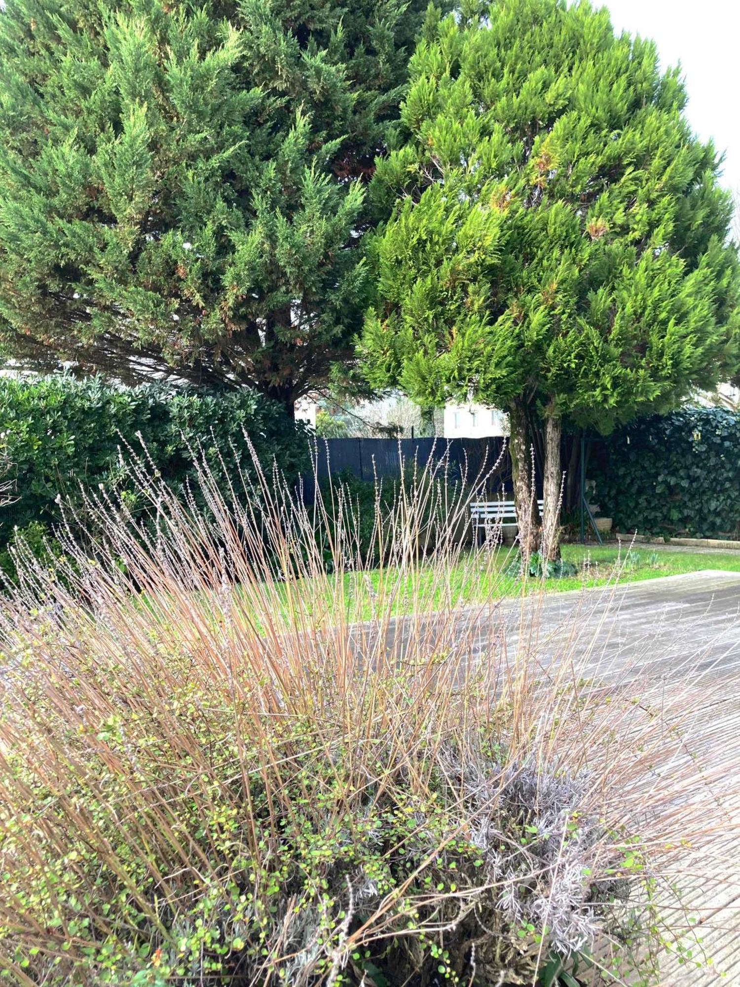 Maison Centre Ville Avec Jardin , Terrasse, Et Garage Velos La Rochelle (Charente-Maritime) Exterior foto